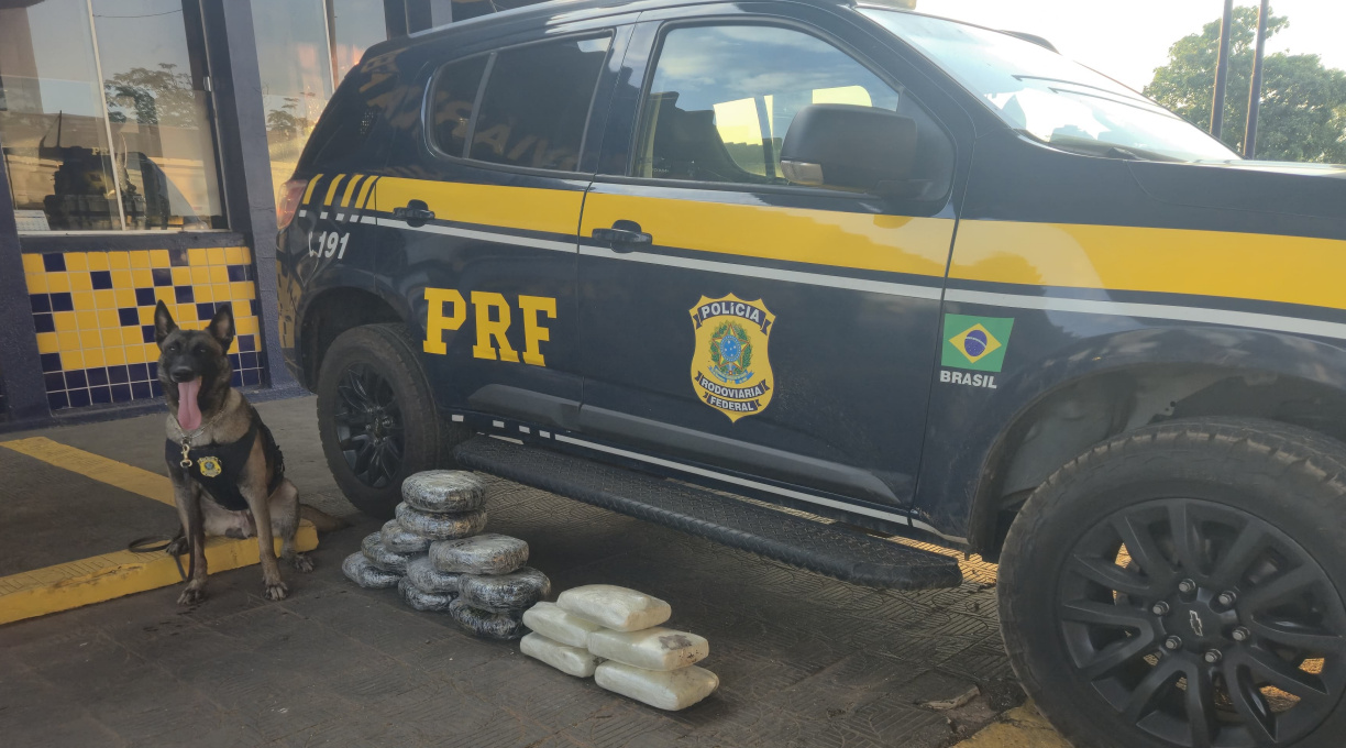 Em um mesmo ônibus, em Rondonópolis, PRF apreende cerca de 16 kg de skunk e prende uma mulher e um homem que não tinham ligações 1