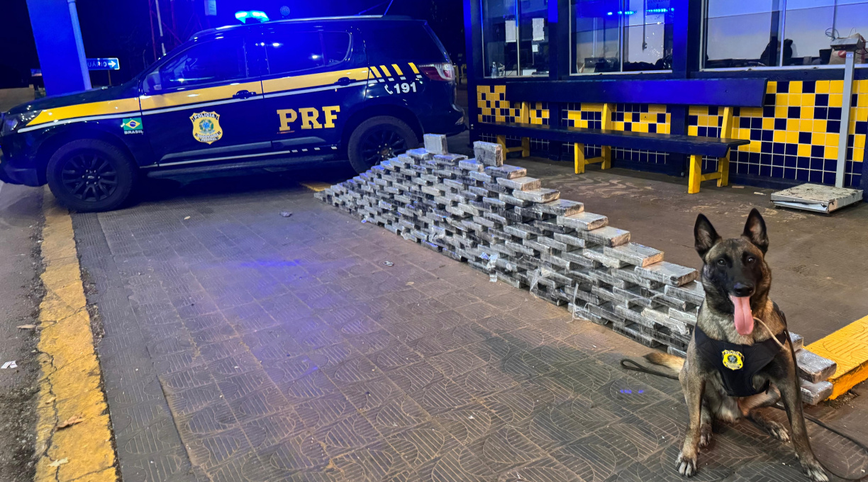 Durante a madrugada, em Rondonópolis, PRF realiza mais uma grande apreensão de cloridrato de cocaína 1