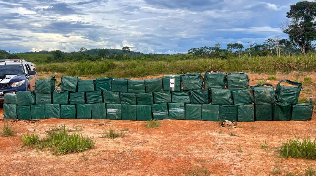 Forças de segurança apreendem 35 toneladas de drogas em 2025 em Mato Grosso 1