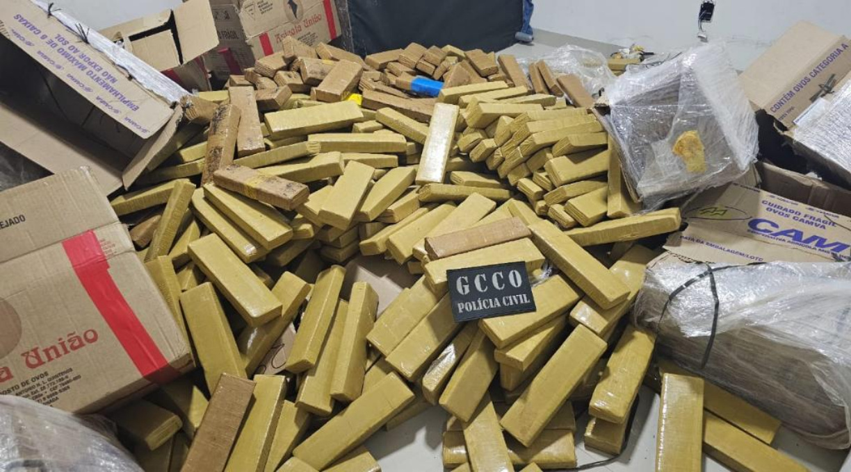 Apreensões de drogas em 2025 geram prejuízo de R$ 574 milhões às facções criminosas 1