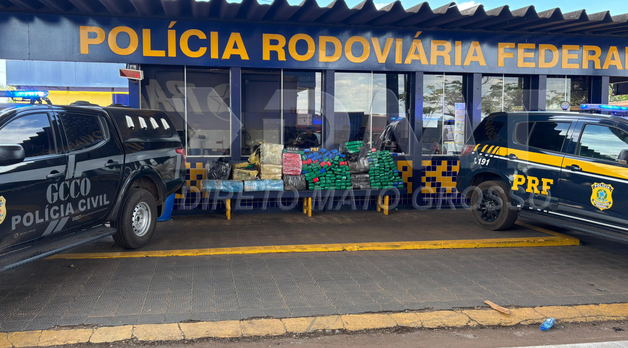 Uma ação conjunta entre a PRF e o GCCO na BR-163 em Rondonópolis resulta na apreensão de quase meia tonelada de maconha 1