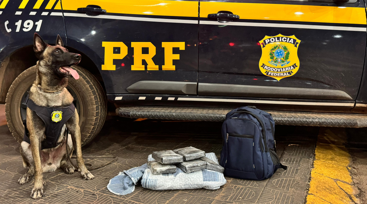 Mulher é presa pela PRF em Rondonópolis ao ser flagrada transportando tabletes de cocaína em ônibus interestadual 1