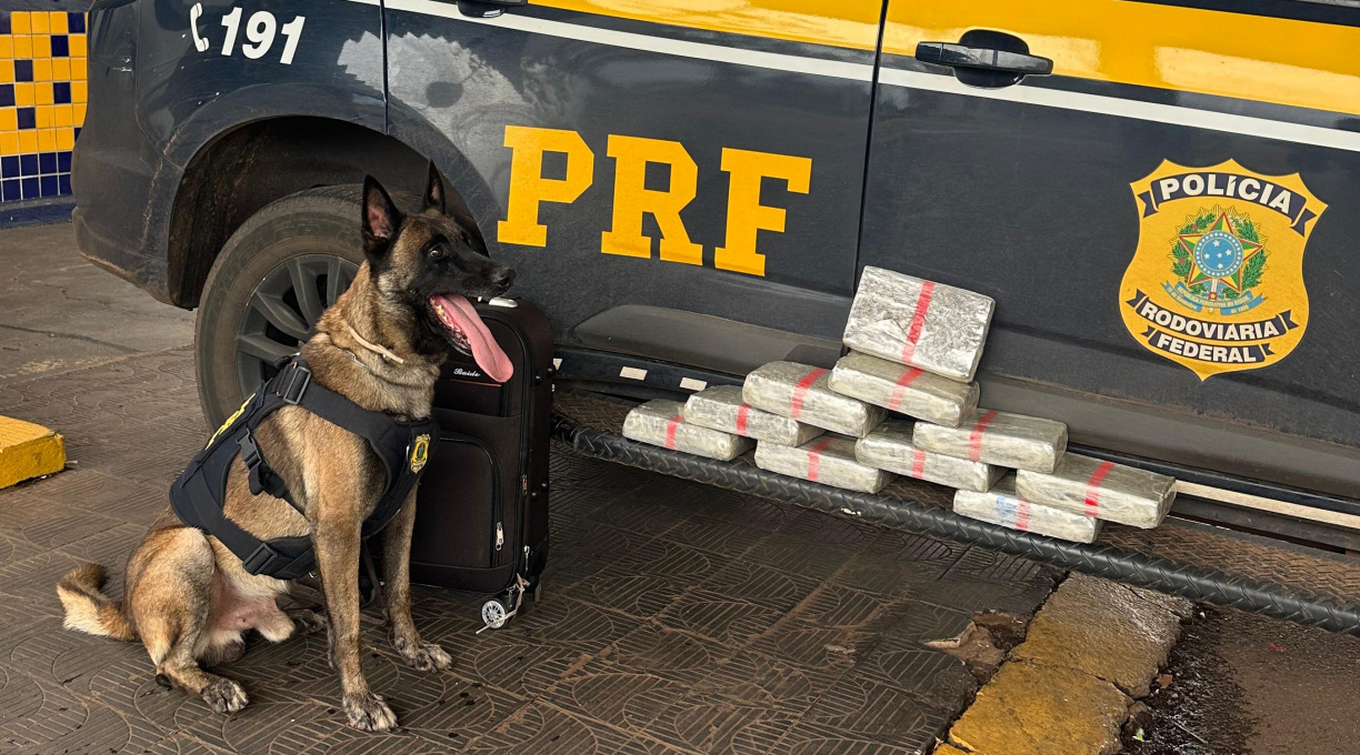 Mulher é presa pela PRF em Rondonópolis após o K9 Zion detectar droga em mala no bagageiro de ônibus 1