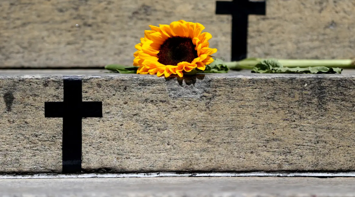 Crimes recentes mostram grave cenário de violência contra a mulher 1