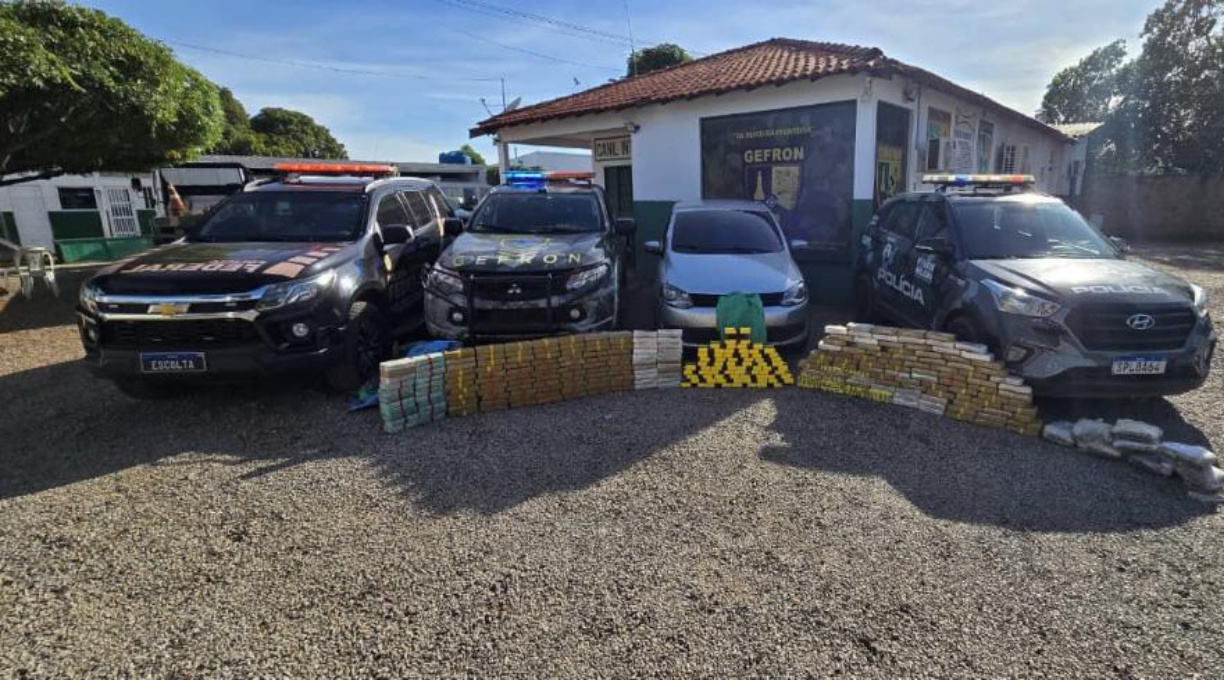 Forças de segurança apreendem 261 tabletes e geram prejuízo de 4,8 milhões ao crime 1