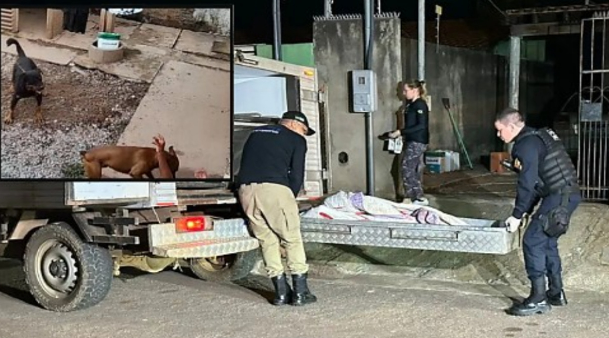 Idosa sofre vários ferimentos e morre após ser atacada por cães em sua residência em Várzea Grande 1