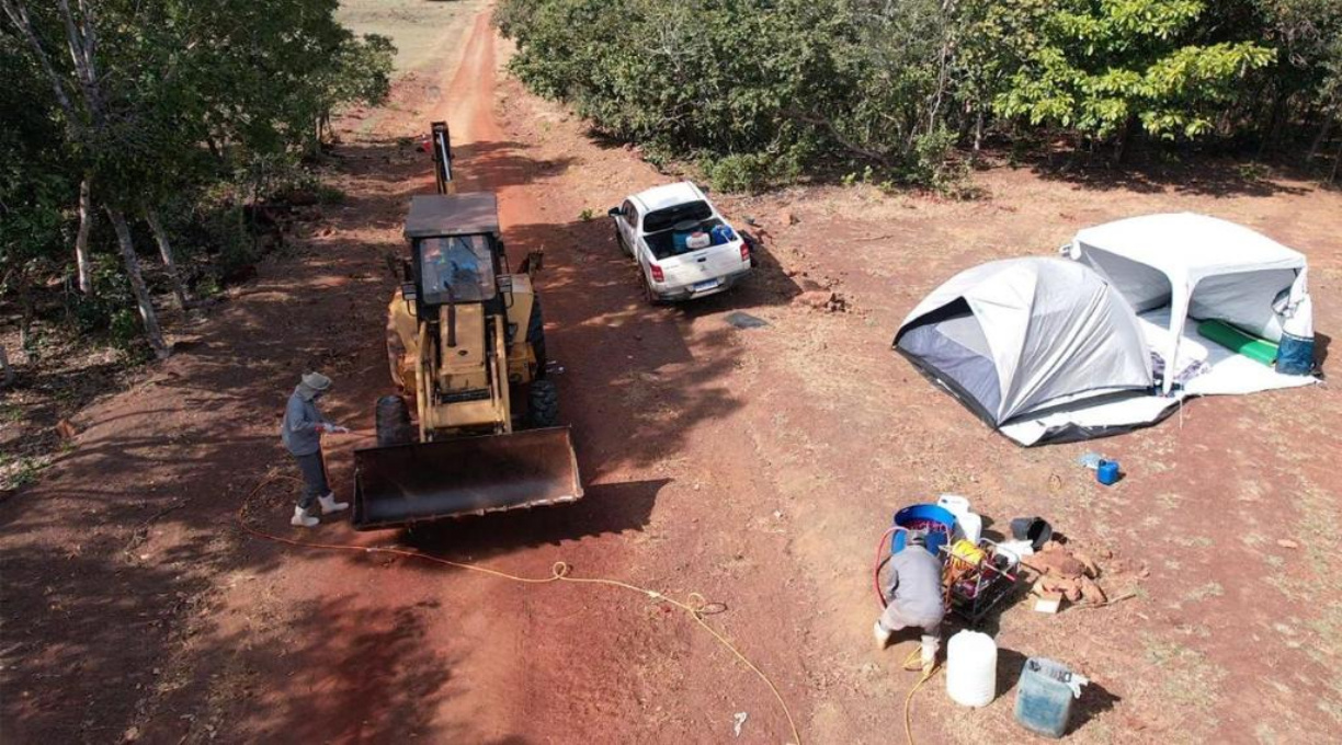 Mapa confirma caso de gripe aviária em Cuiabá; Indea adota medidas para conter foco 1