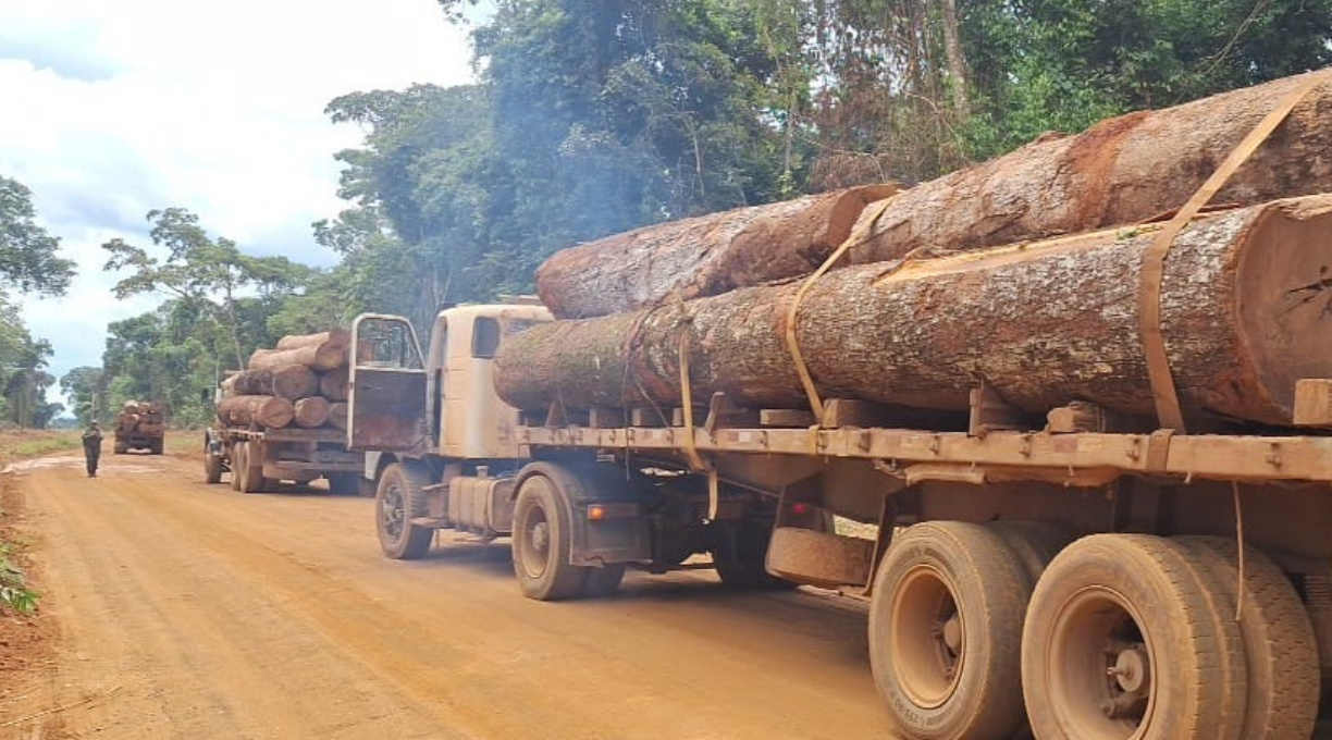 Polícia Militar apreende mais de 100m³ de madeira ilegal em Feliz Natal 1