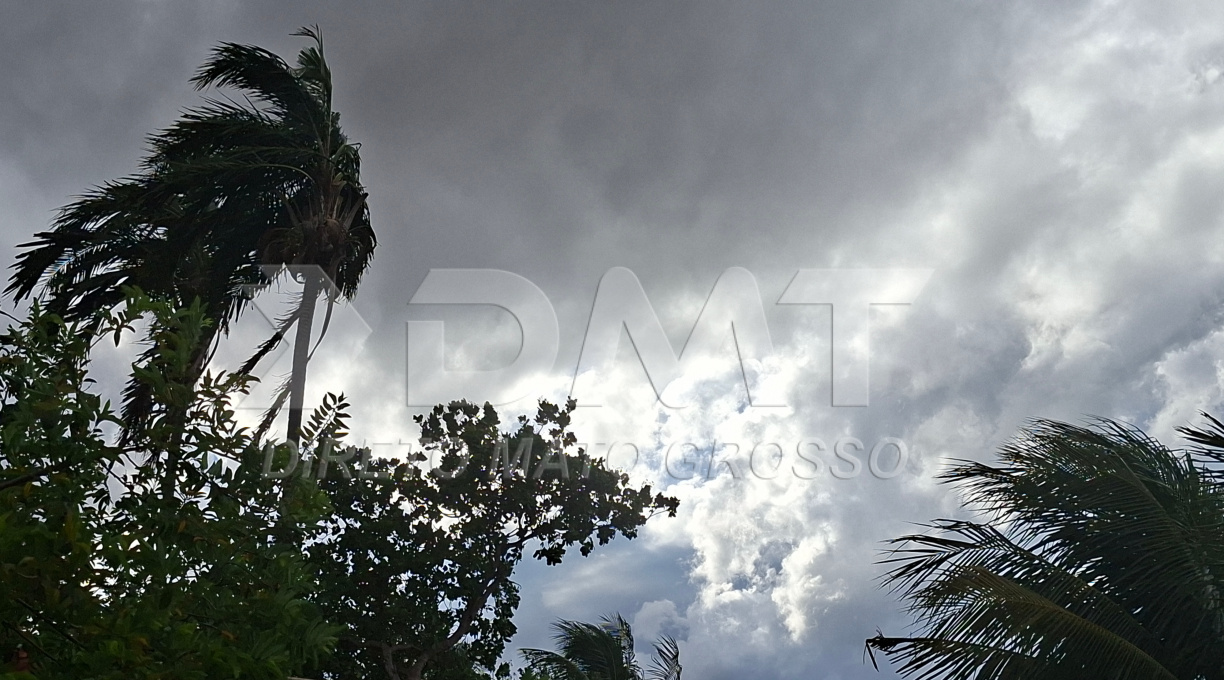 Defesa Civil comunica previsão de tempestade entre hoje e amanhã (02 e 03) 1