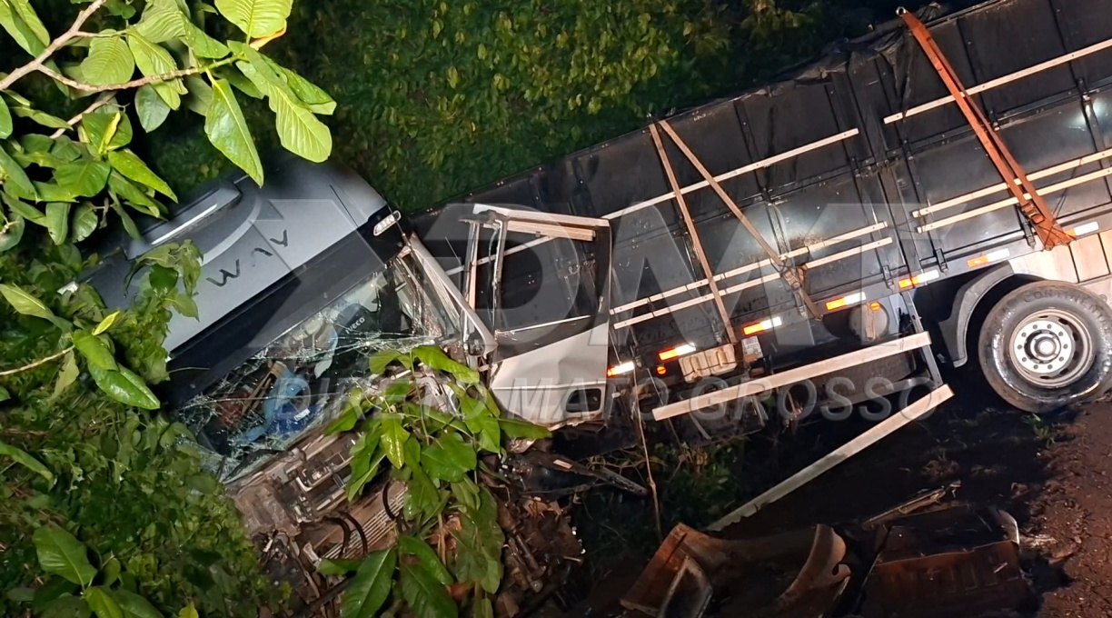 Caminhoneiro fica ferido após colisão entre caminhões na BR-364, em Pedra Preta 1