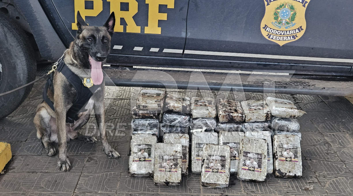 PRF apreende 43 kg de supermaconha na BR-364 após cão farejador detectar o ilícito 1