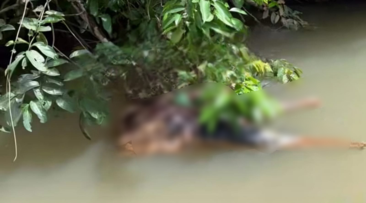 Corpo de homem decapitado é encontrado dentro de rio no município de Sinop 1