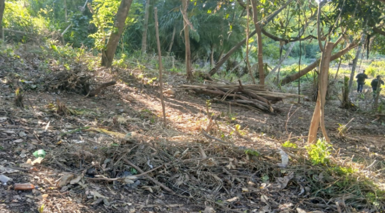 Forças de segurança impedem mais duas invasões de terra em municípios de Mato Grosso 1