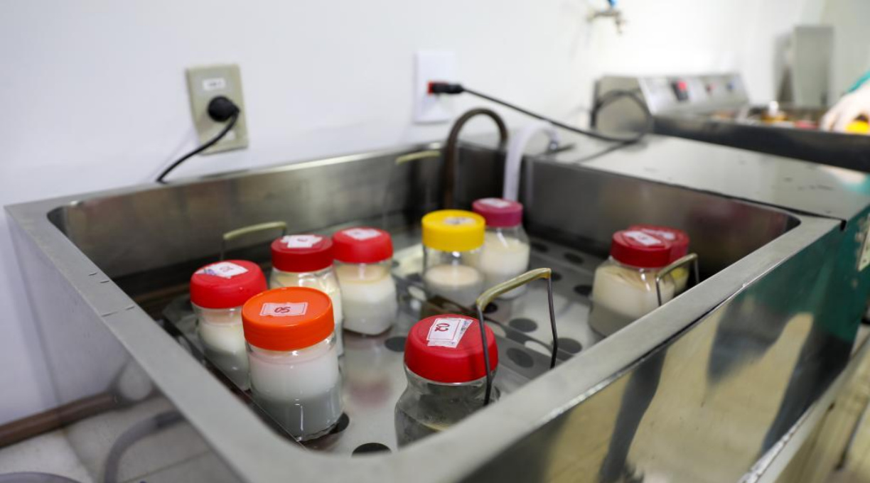 Distribuição de leite humano a prematuros internados foi de 2,1 mil litros em MT em 2025 1