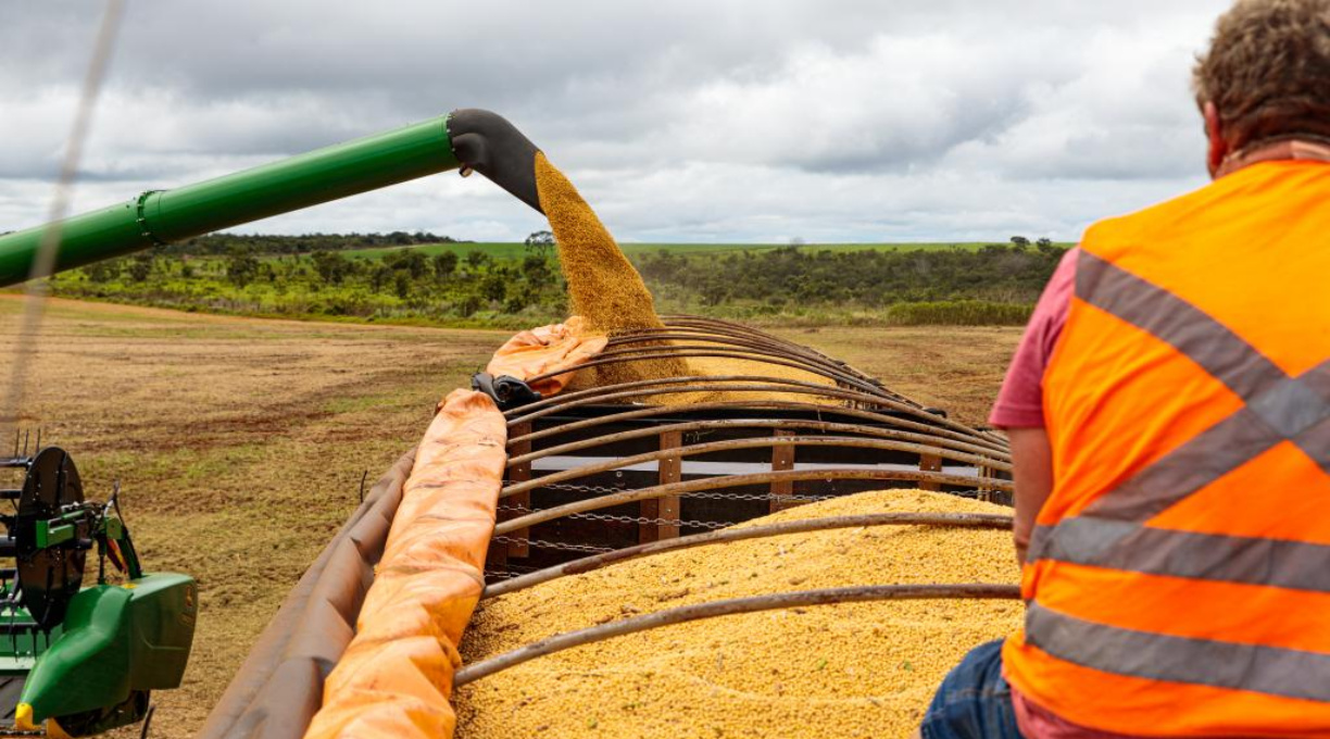 Mato Grosso fecha 2025 como o 4º maior exportador brasileiro 1