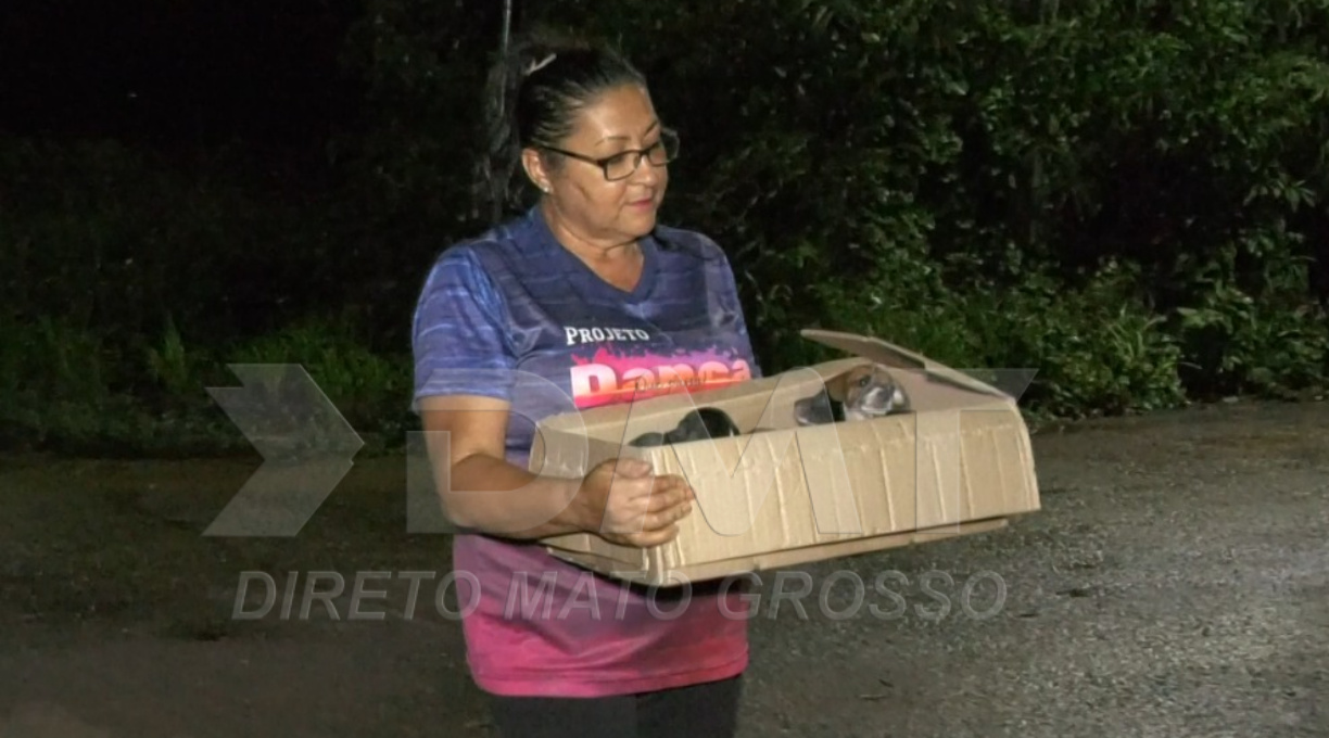Filhotes de cachorros são resgatados por moradores após serem abandonados por um desconhecido no bairro Vila Rica 1