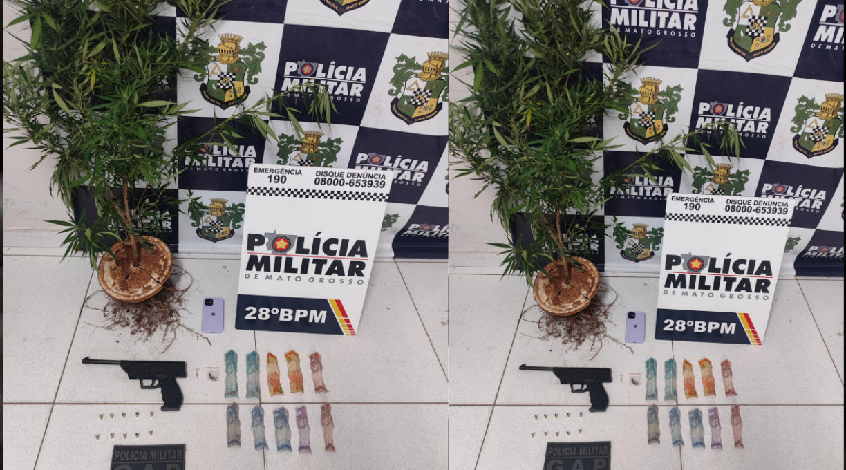 Equipe do GAP do 28º BPM prende traficante com arma de fogo, sementes e pé de maconha 1