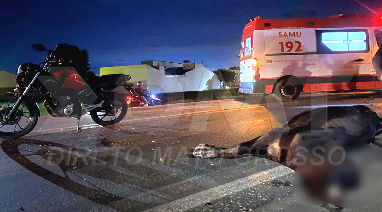 Motociclista é encaminhado ao Hospital Regional após colidir contra vaca no Anel Viário 1