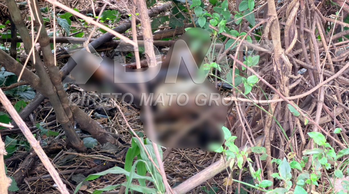 Cadáver de homem em decomposição é encontrado por populares às margens da BR-364, em Rondonópolis 1