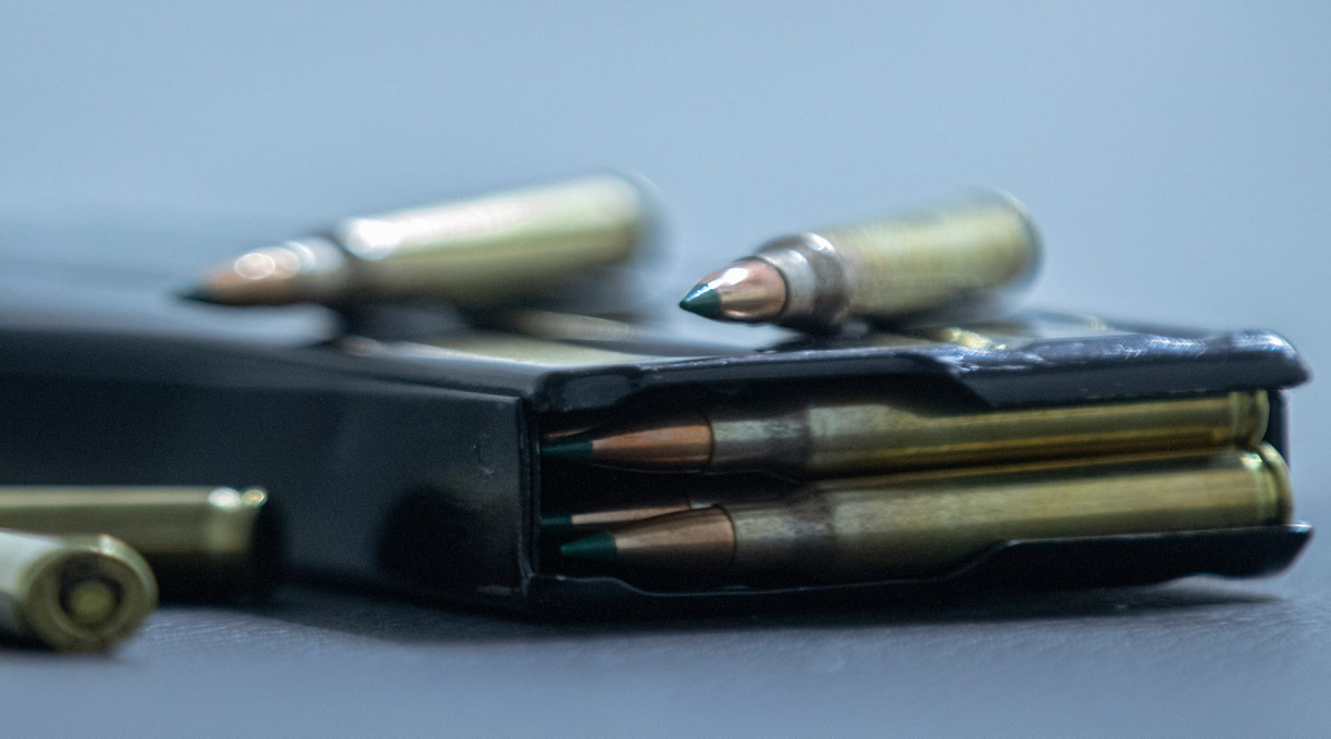 ‘Minha Primeira Arma’: autor diz que autodefesa virou ‘privilégio da elite’ e critica governo 1