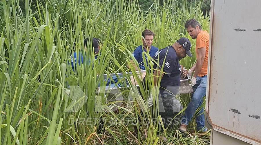 Motorista de aplicativo que estava desaparecido é localizado morto em meio a matagal no Residencial Alta Vista Parque 1