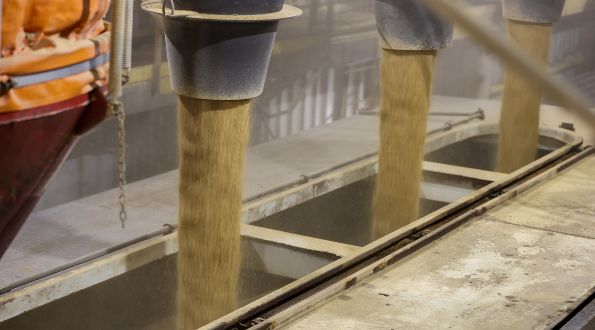 Rondonópolis lidera exportações em Mato Grosso no primeiro bimestre de 2026 1