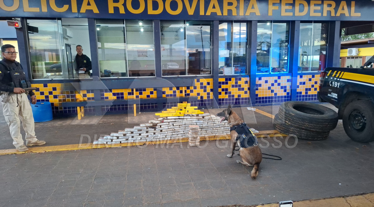 Caminhoneiro é preso pela PRF em Rondonópolis ao ser flagrado transportando grande quantidade de drogas em estepes do veículo 1