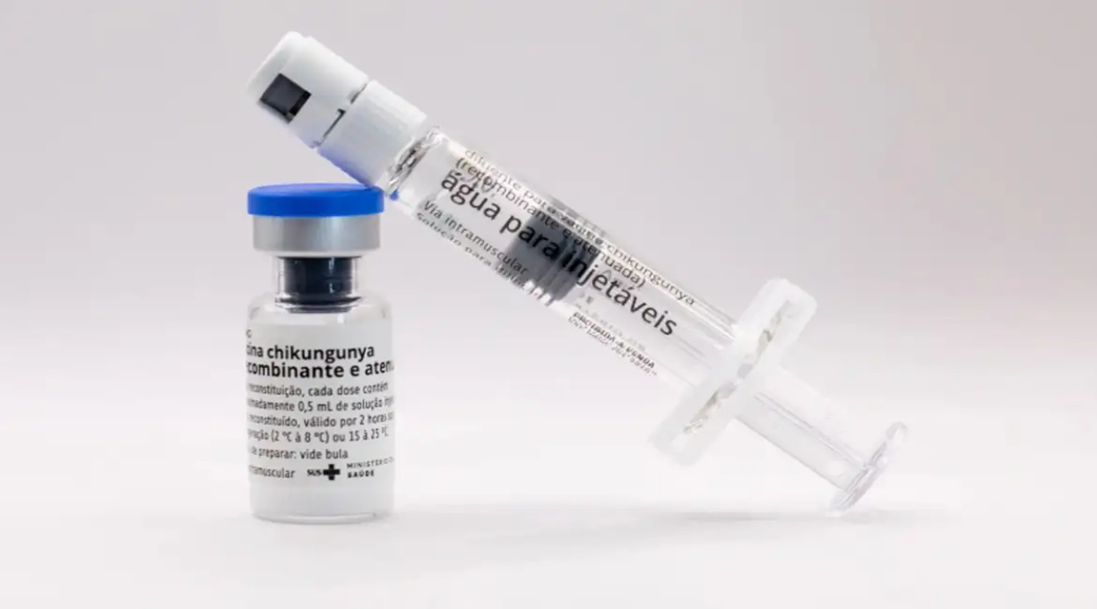 Butantan vai produzir vacina nacional contra chikungunya 5