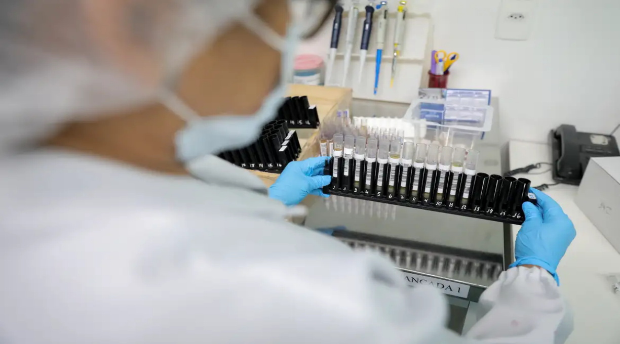 Fiocruz obtém patente para tratamento contra malária resistente 5