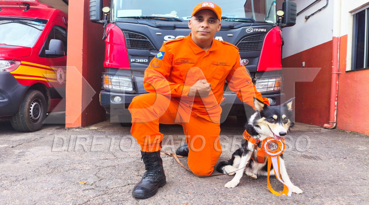 Cabo do Corpo de Bombeiros de Rondonópolis relata a trajetória ao lado da cadela Stella até a obtenção da Certificação Nacional de Cães de Busca 3 Cabo do Corpo de Bombeiros de Rondonópolis relata a trajetória ao lado da cadela Stella até a obtenção da Certificação Nacional de Cães de Busca 3