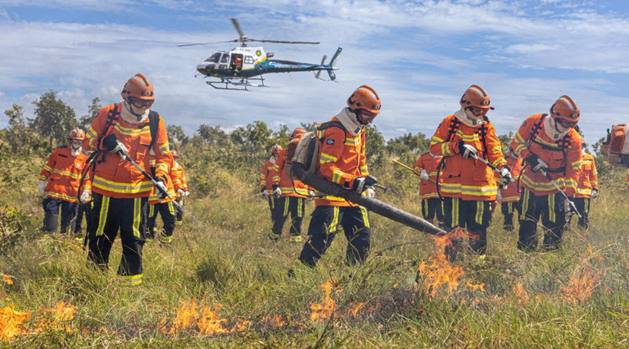 Período proibitivo de uso do fogo começa nesta quarta (1º); bombeiros alertam para estiagem severa 1 Período proibitivo de uso do fogo começa nesta quarta (1º); bombeiros alertam para estiagem severa 1