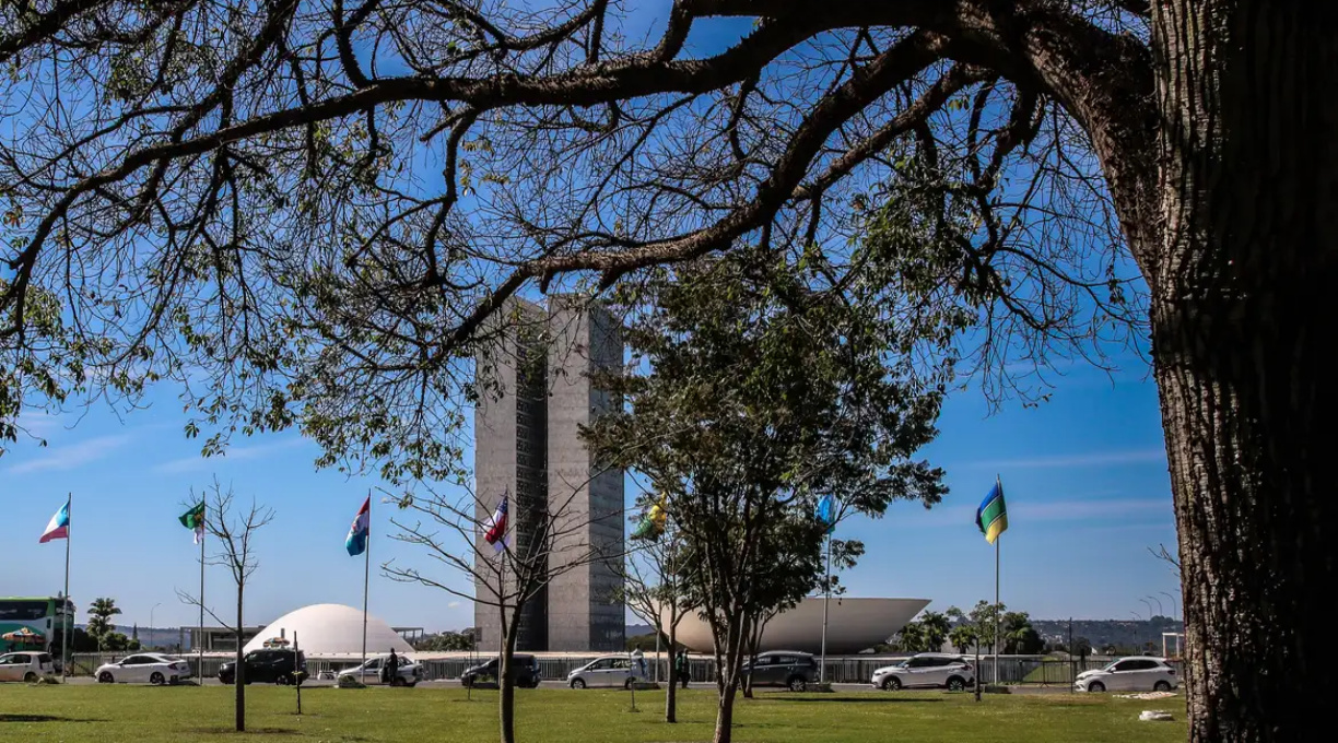 Congresso aumenta punição a crimes sexuais online contra crianças 5 Congresso aumenta punição a crimes sexuais online contra crianças 5