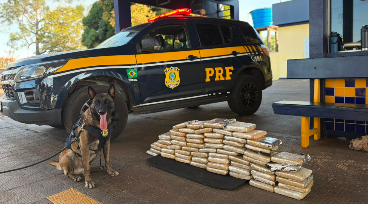 PRF apreende 63 kg de "supermaconha" e prende traficante na BR-364, em Rondonópolis 5