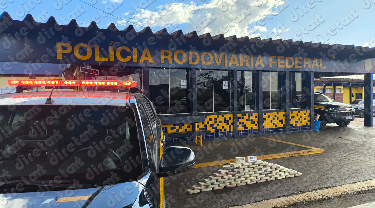PRF, com o apoio do cão farejador Zion, flagra em Rondonópolis dupla transportando grande quantidade de entorpecentes 1 PRF, com o apoio do cão farejador Zion, flagra em Rondonópolis dupla transportando grande quantidade de entorpecentes 1