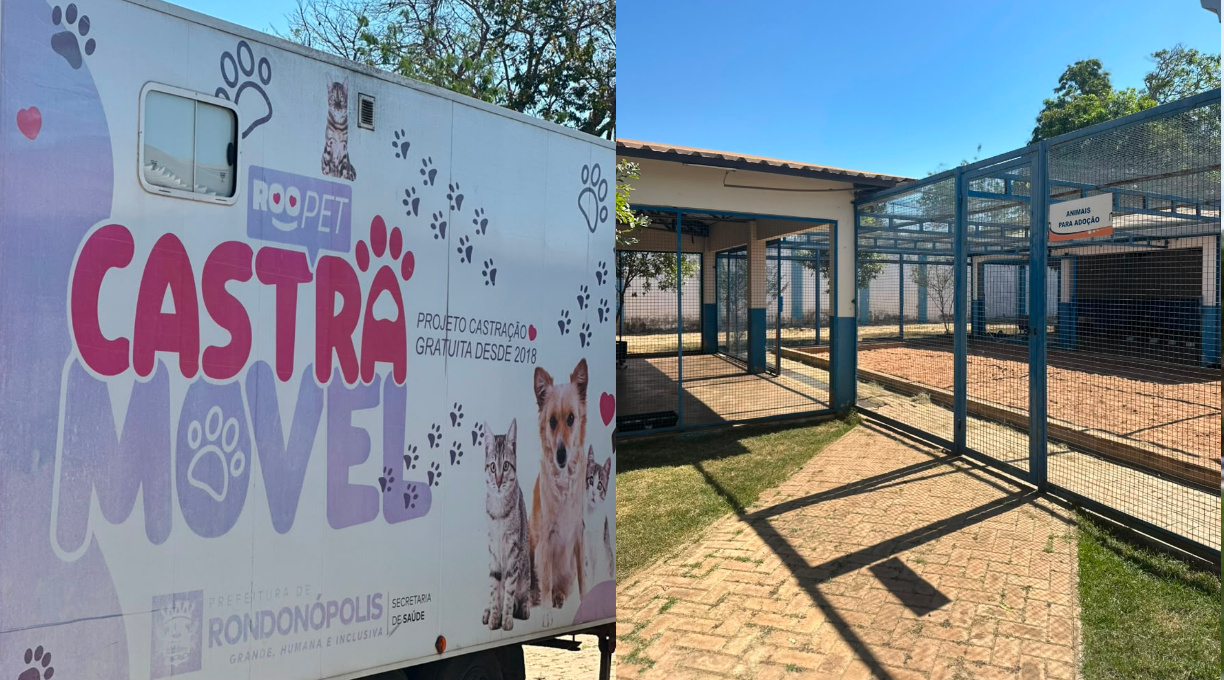 CIBEAR intensifica ações de bem-estar animal e realiza 3.455 castrações no primeiro semestre de 2026 1 CIBEAR intensifica ações de bem-estar animal e realiza 3.455 castrações no primeiro semestre de 2026 1