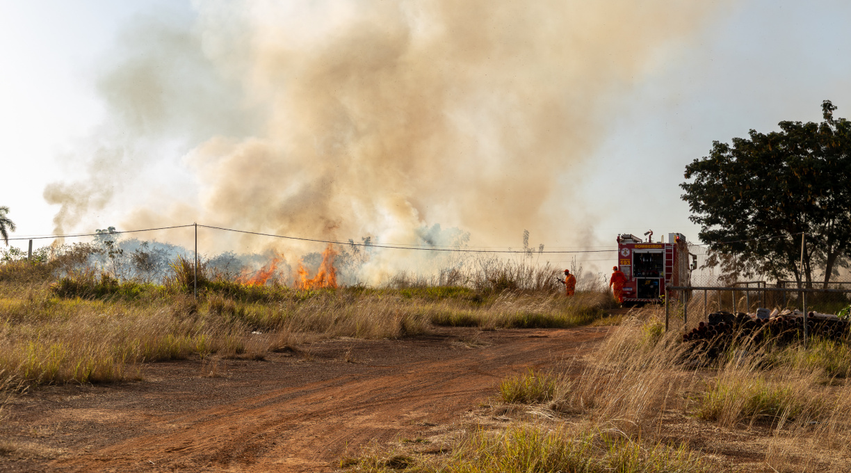 Prefeitura cria brigada mista com o Corpo de Bombeiros Militar para ampliar combate às queimadas 1 Prefeitura cria brigada mista com o Corpo de Bombeiros Militar para ampliar combate às queimadas 1