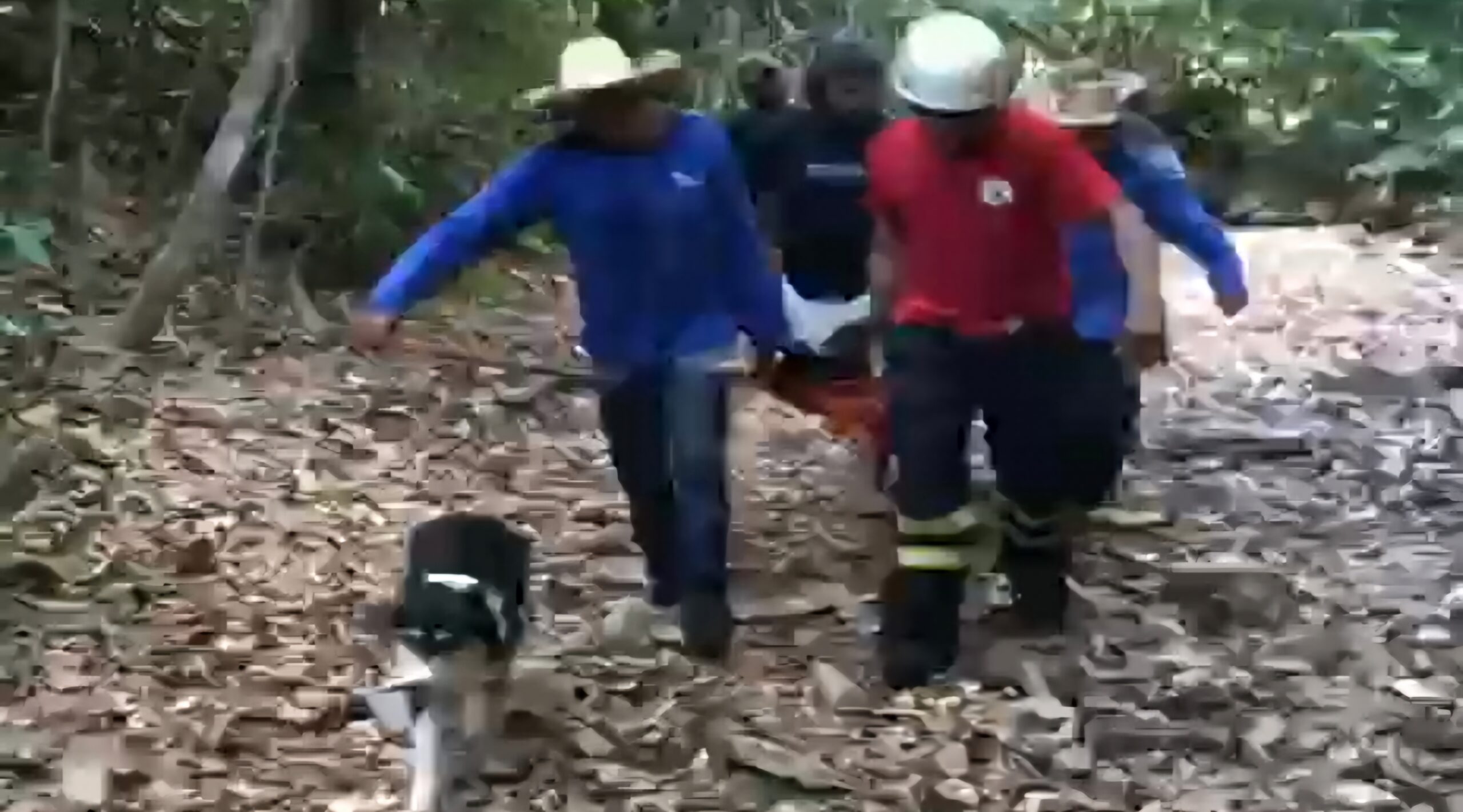 Idoso desaparecido em área de mata de Paranatinga é localizado com vida por bombeiros militares, com o apoio da K9 Stella, de amigos e de familiares 9