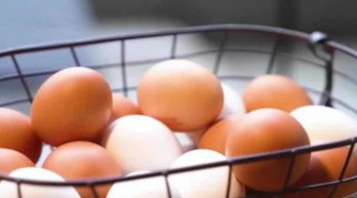 Proteína vira febre nos alimentos, mas especialistas alertam contra excessos 1