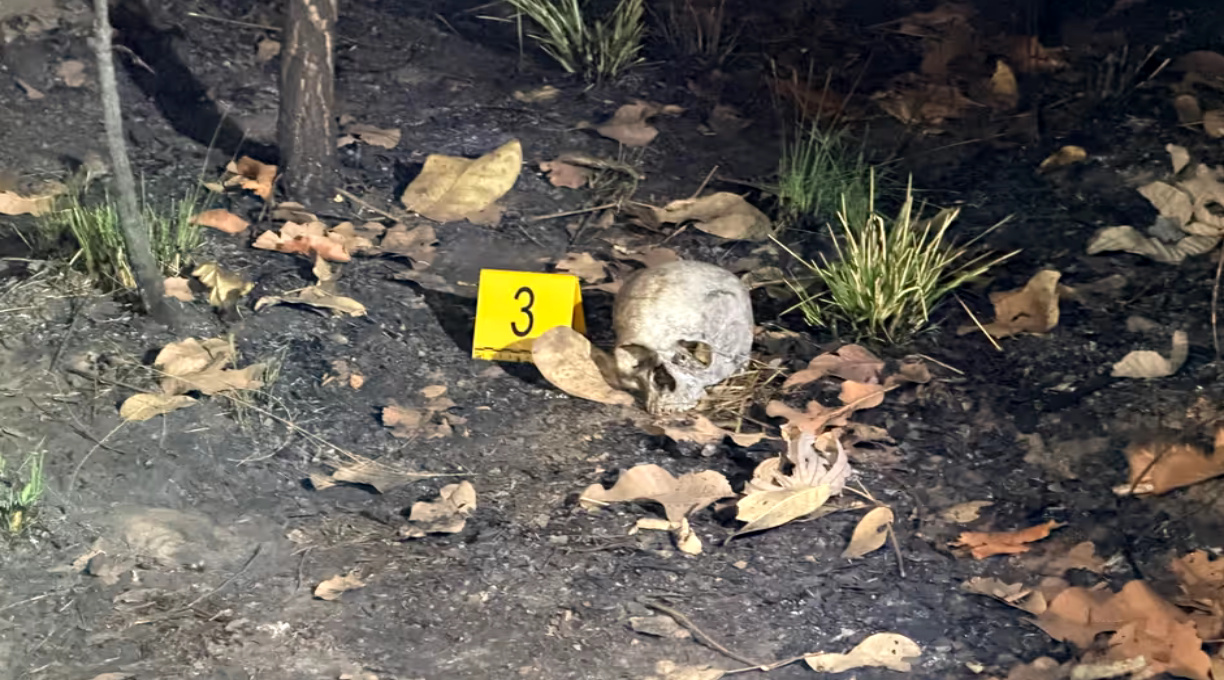 Crânio humano é encontrado por moradora em região de mata de bairro de Cuiabá 1 Crânio humano é encontrado por moradora em região de mata de bairro de Cuiabá 1
