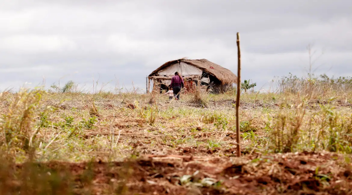 Cai número de assassinatos no campo, mas aumenta o de conflitos 5 Cai número de assassinatos no campo, mas aumenta o de conflitos 5