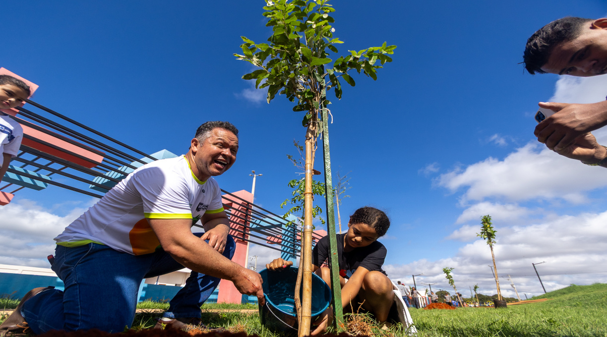 Prefeitura de Rondonópolis celebra Dia da Árvore com avanços e conquistas na arborização urbana 1