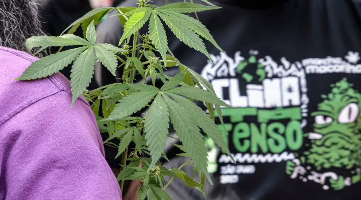 Flagrante por drogas gera mais prisão preventiva do que outros crimes 1