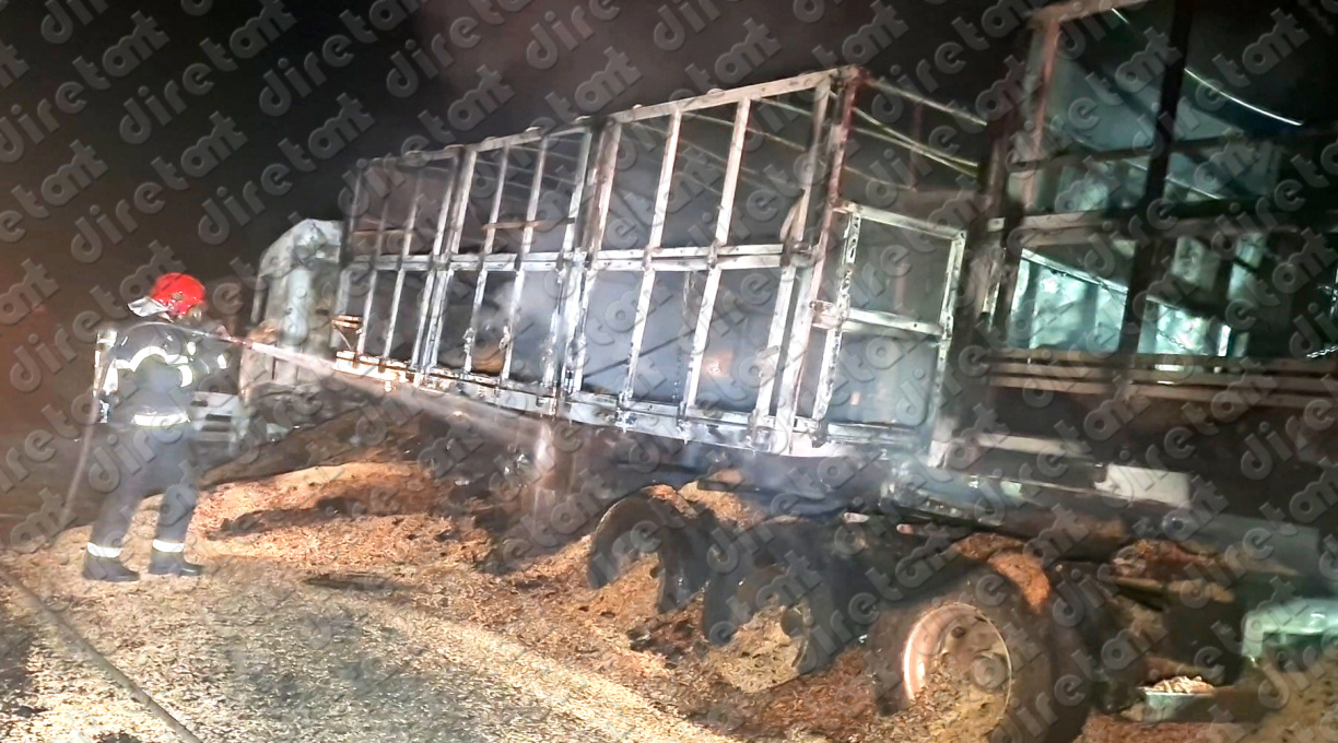 Carreta carregada com soja pega fogo na MT-130 e fica completamente destruída 1