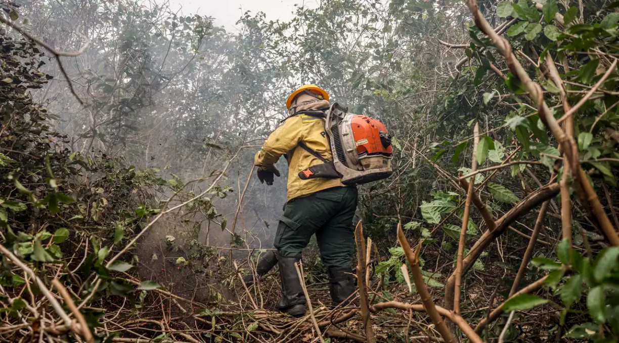 Incêndios no Amazonas resultam de ação humana, diz ministro 1
